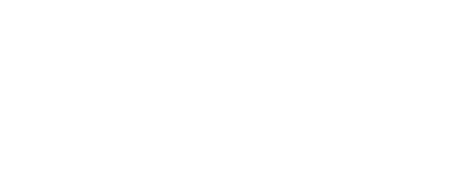 Flakex Logo